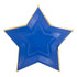 Blue and Gold Star Paper Party Plates | Package 8 | 11 Inch