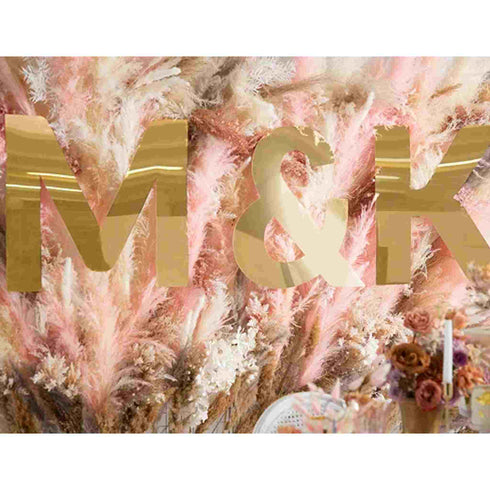 Giant Gold Mirror BABY Letter Banner