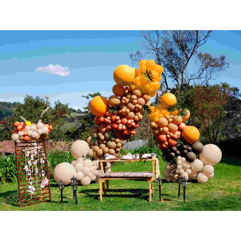 Deluxe Chocolate Brown | 11 Inch | Sempertex (Betallatex) Latex Balloons | Package 10